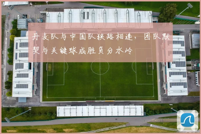 丹麦队与中国队狭路相逢,团队默契与关键球成胜负分水岭