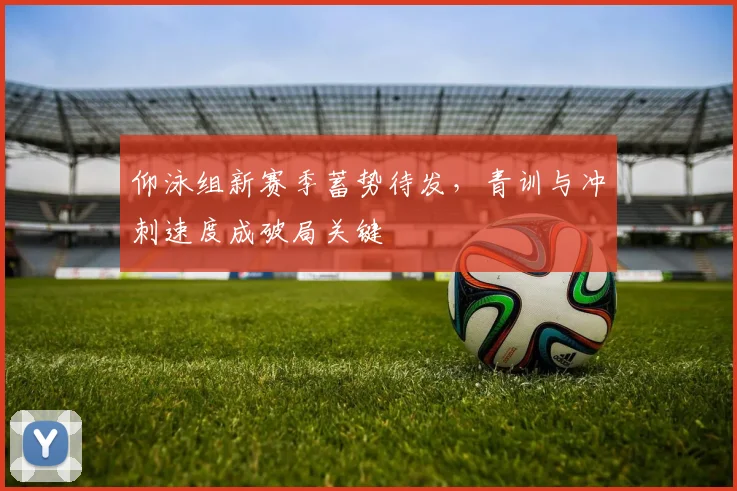 仰泳组新赛季蓄势待发,青训与冲刺速度成破局关键