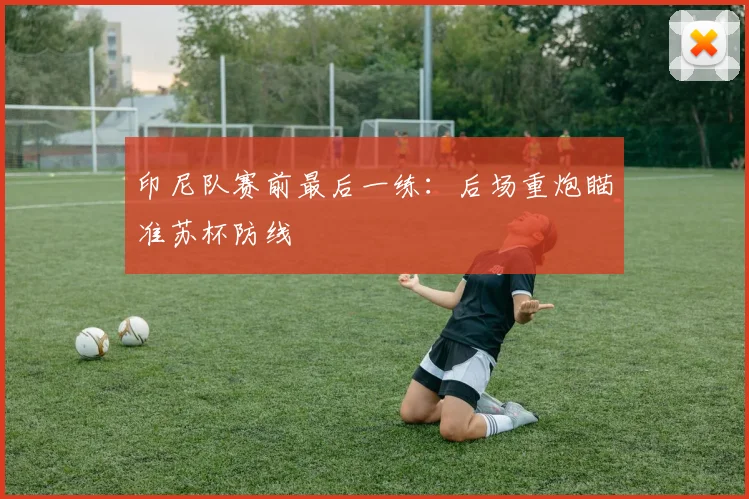 印尼队赛前最后一练:后场重炮瞄准苏杯防线
