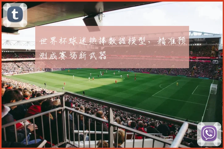 世界杯球迷热捧数据模型,精准预测成赛场新武器