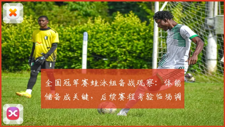 全国冠军赛蛙泳组备战观察:体能储备成关键,后续赛程考验临场调整